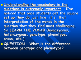 What is the difference between genotype and phenotype?