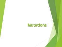 Mutations PP