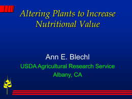 Altering Plants to Increase Nutritional Value