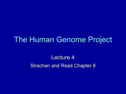The Human Genome Project - Homepages | The University of