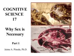 Human Sexual Anatomy & Physiology (Part 1)