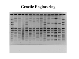 Genetic Engineering II