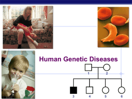 genetic disorders presentation ap bio