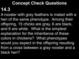 Concept Check Questions