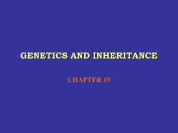 GENETICS AND INHERITANCE