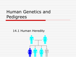 Human Genetics and Pedigrees
