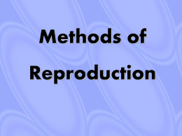 Methods of asexual reproduction