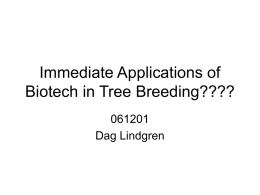 Immediate Applications of Biotech in Tree Breeding