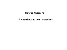 Higher Biology: Genome - Gene Mutation
