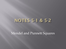 Notes 5-1 & 5-2