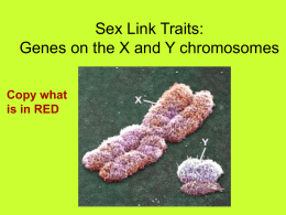 day 11 sex linked traits