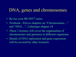 Organism Genome (kb) Form