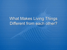 What Makes Living Things Different from each other?