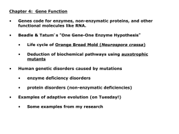 Gene function