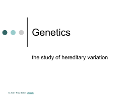 Powerpoint Presentation: Genetics