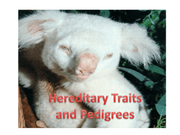 Hereditary Traits and Pedigrees