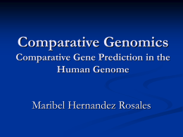 Comparative Genomics