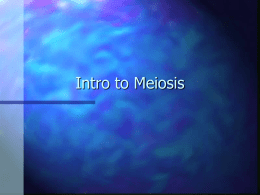 Intro to Meiosis - Solon City Schools