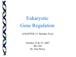 regulatory transcription factors
