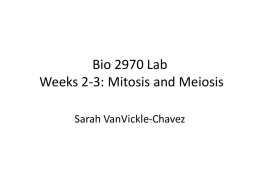 Bio 2970 Lab 2