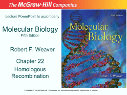 Chapter 22 Lecture PowerPoint - McGraw Hill Higher Education