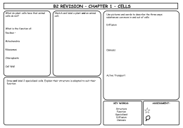 B2 Revision Sheets. - New College Leicester