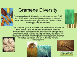 Gramene Diversity