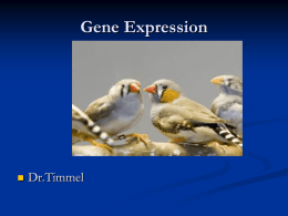 Gene Expression - Valhalla High School