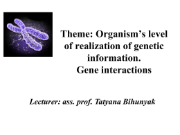 03.Organism`s level of realiization of genetic information. Gene