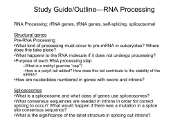 RNA Processing