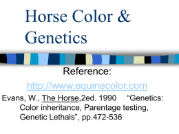 Horse Color & Genetics - NAAE Communities of Practice