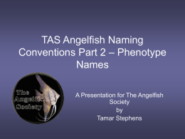 TAS Angelfish Naming Conventions Part II