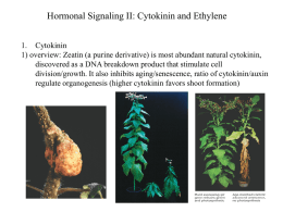(bacteria) (Cytokinin signaling in plants)