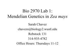 Bio 2970 Lab 1