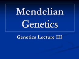 Genetics Lecture III