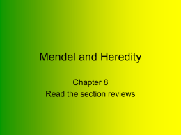 Ch. 08 Mendel and Heredity