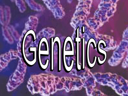 genetics notes_1
