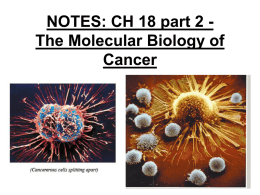 NOTES: CH 18 part 2 - Molecular Basis of Cancer (powerpoint)