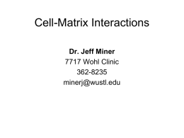 Cell-Matrix Interactions