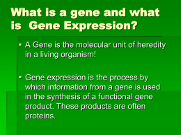 3.1 Mutations_Gene Expression