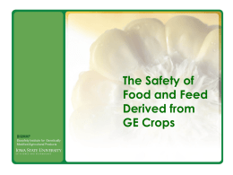 Food & Feed Safety