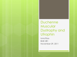 Duchenne Muscular Dystrophy and Utrophin