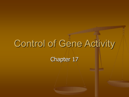 Control of Gene Activity