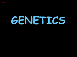Genetics - onlinebiosurgery