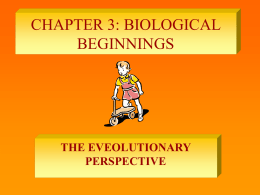 chapter 3: biological beginnings