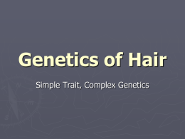 6. Hair color genetics 2014