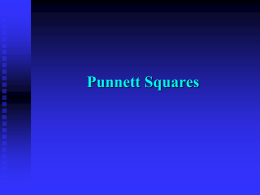 Punnett Squares