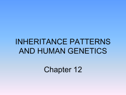 chapter twelve INHERITANCE PATTERNS AND HUMAN GENETICS