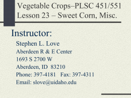 Veg Crops-Lesson 23 Sweet corn