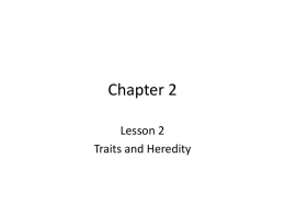 Chapter 2 lesson 2